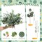 Mixed Eucalyptus Leaves Stems Bulk Silver Dollar Artificial Greenery Leaves Stems Fake Plant Branches for Wedding Bridal Bouquets, Floral Arrangements, Centerpiece, Home Decor(Green,150 Pcs)